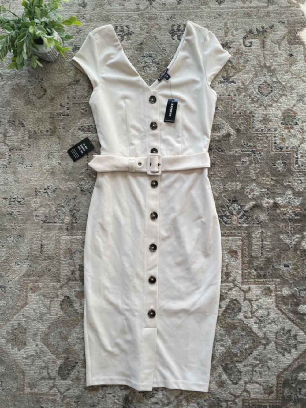 Express Ivory Button Down Dress